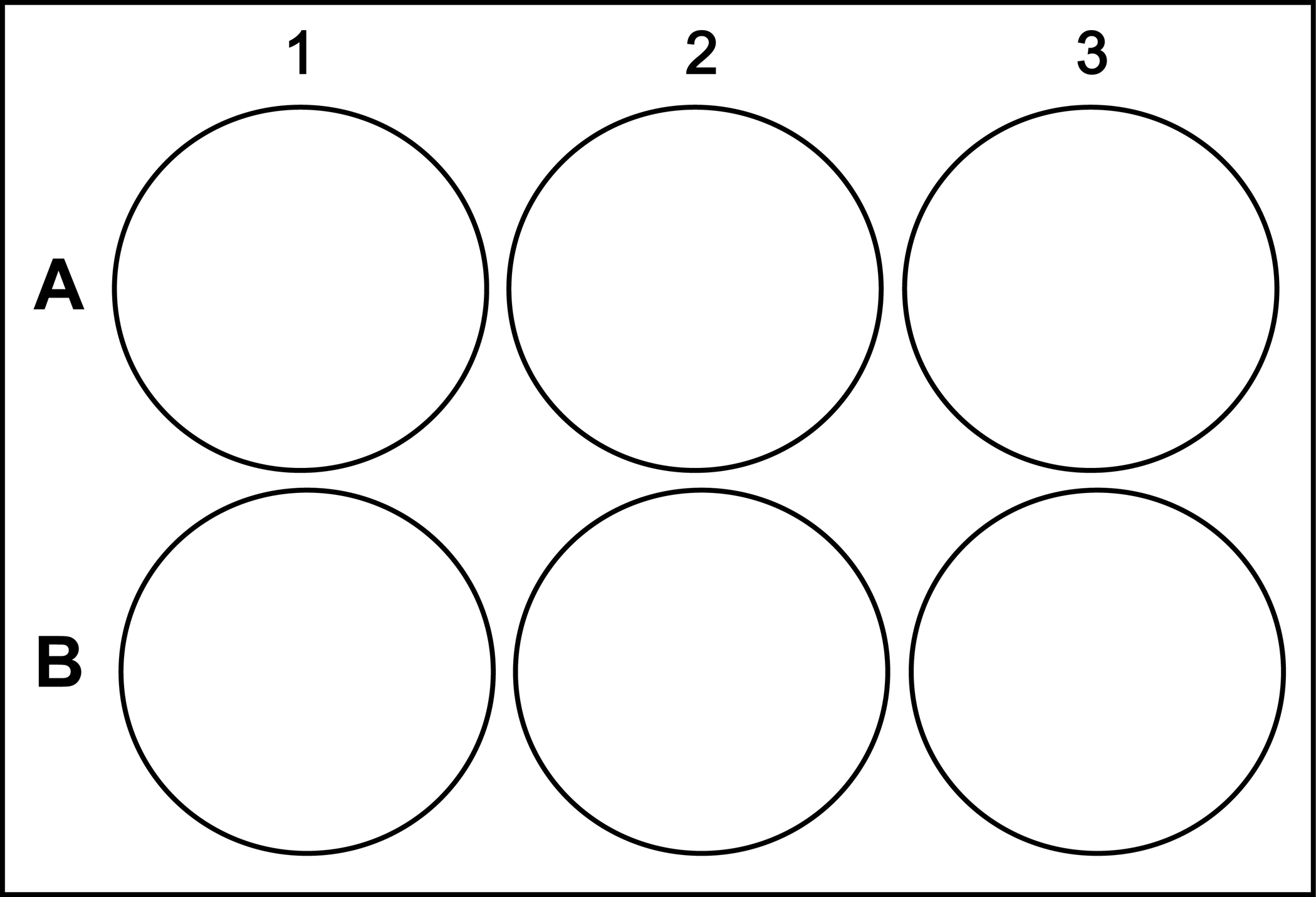 Template 6 Well Plate